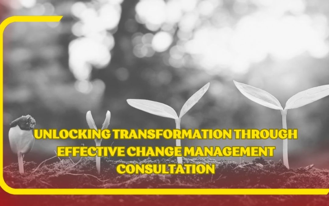 Unlocking Transformation Through Effective Change Management Consultation