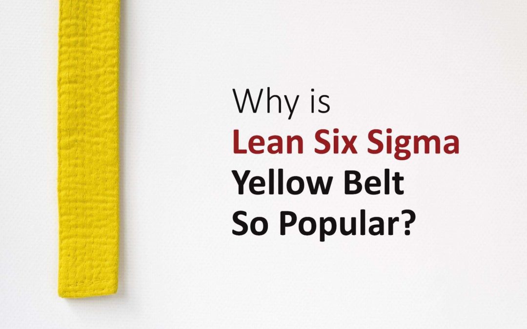 Why is Lean Six Sigma Yellow Belt so Popular? (5 Reasons)